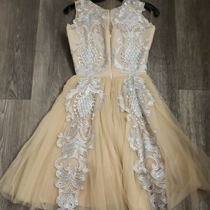 Chotronette Dresses - Silver Lace Cream Beige Tulle Dress by Chotronette Chotronette Dresses - Silver Lace Cream Beige Tulle Dress by Chotronette